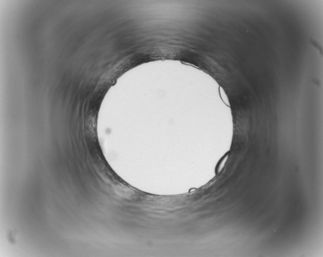 X0000102030045200808151353