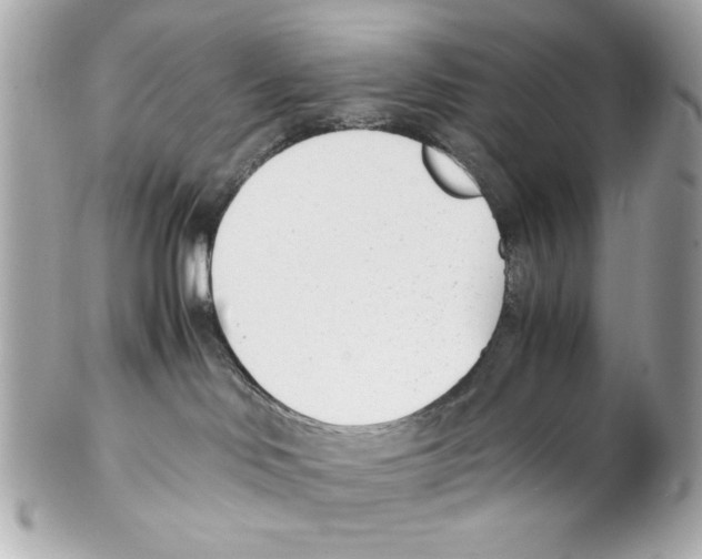 X0000102030046200808151353