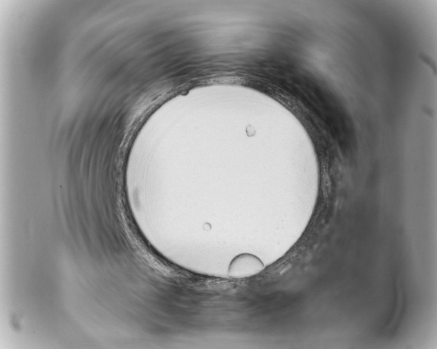 X0000102030049200808151352