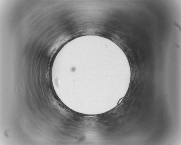 X0000102030050200808151352