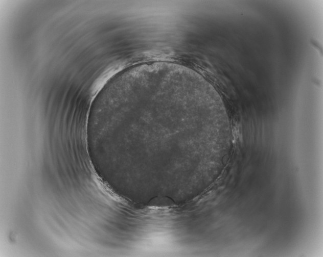 X0000102030052200808151352