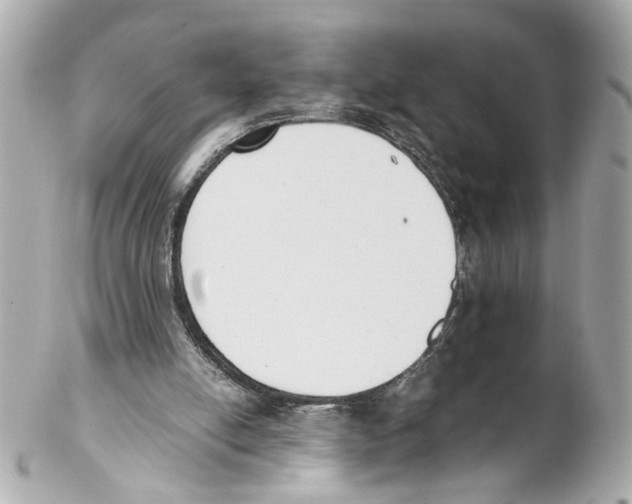 X0000102030054200808151352