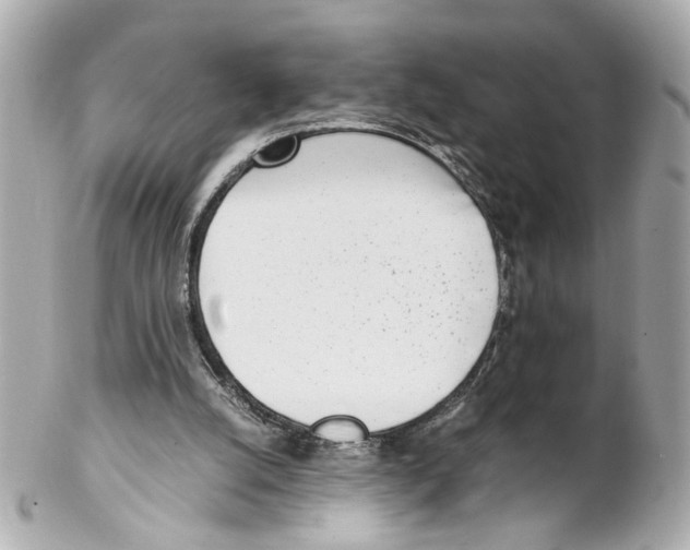 X0000102030056200808151352