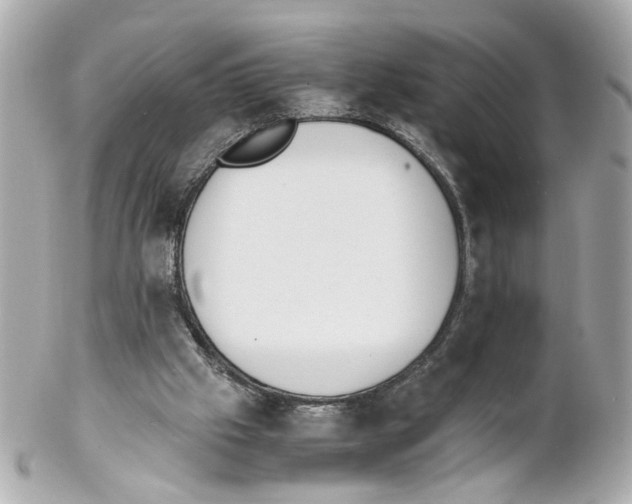 X0000102030057200808151352