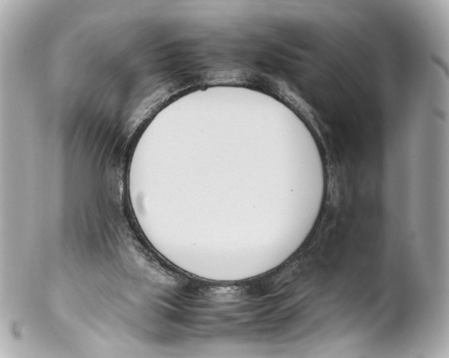 X0000102030059200808151352