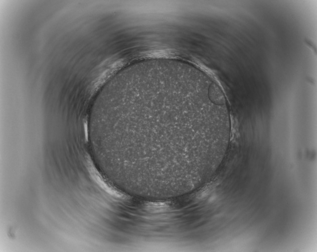 X0000102030061200808151352