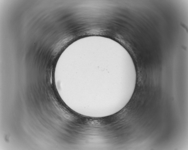 X0000102030062200808151352