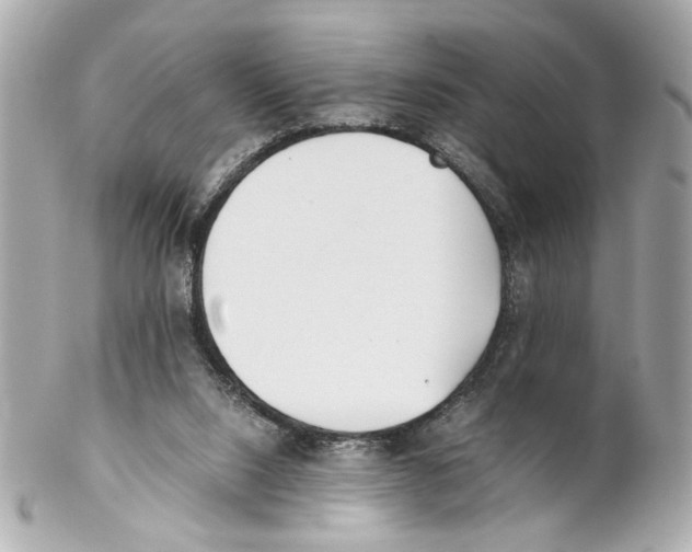 X0000102030064200808151352