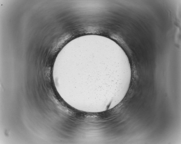 X0000102030066200808151352