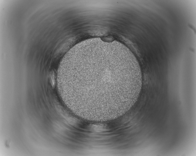 X0000102030069200808151352