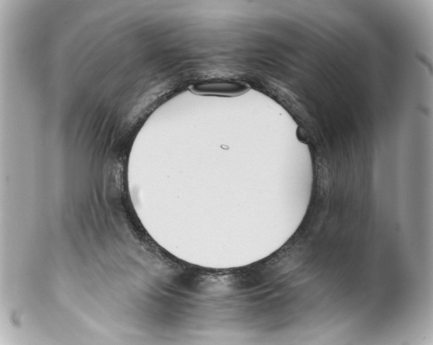 X0000102030071200808151352