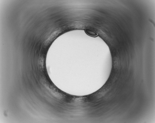 X0000102030072200808151352