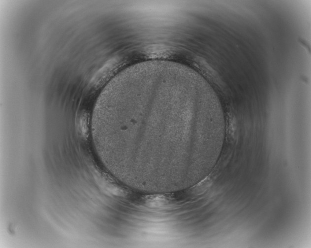 X0000102030074200808151353