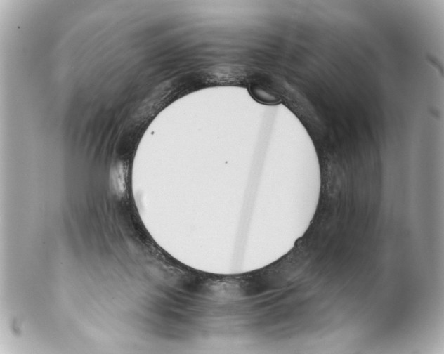 X0000102030075200808151353