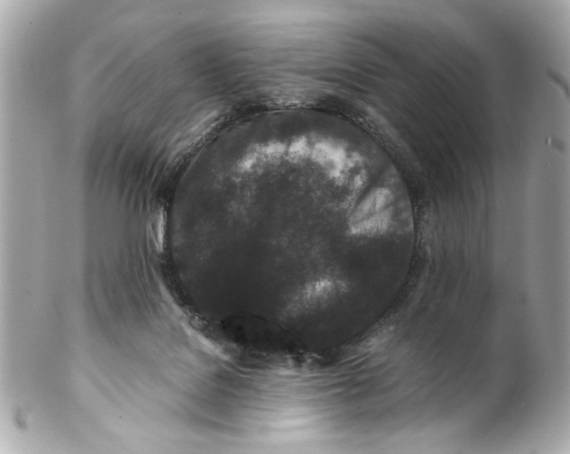 X0000102030076200808151353