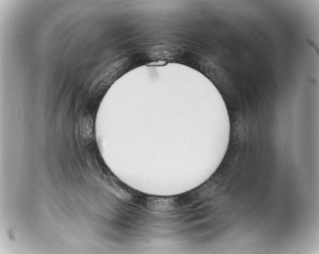 X0000102030081200808151353