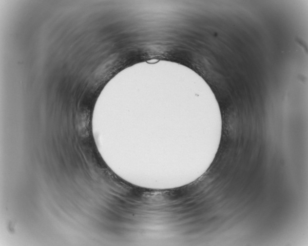 X0000102030082200808151353