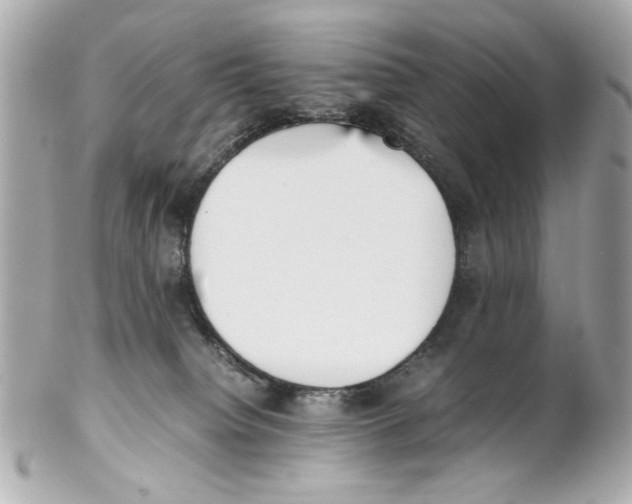 X0000102030084200808151353