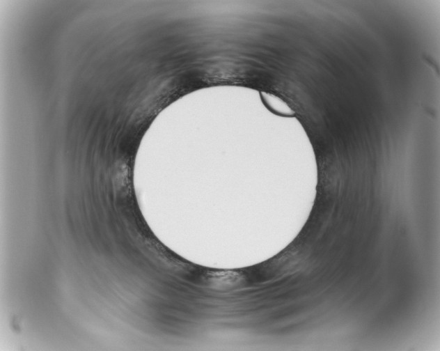 X0000102030087200808151353