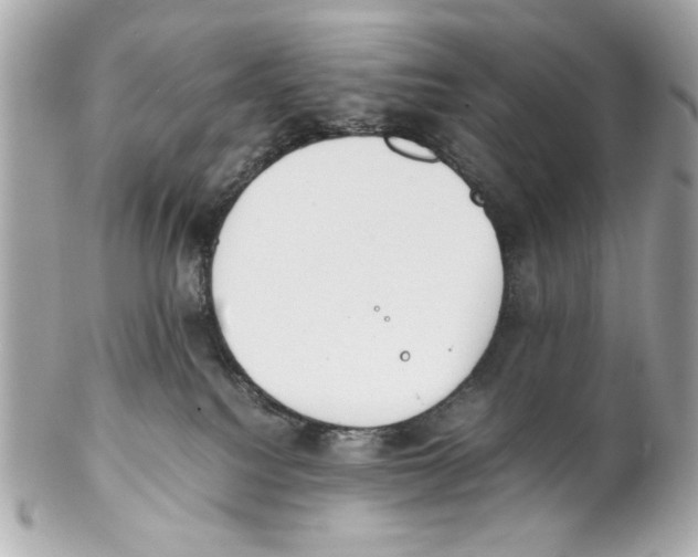 X0000102030088200808151353