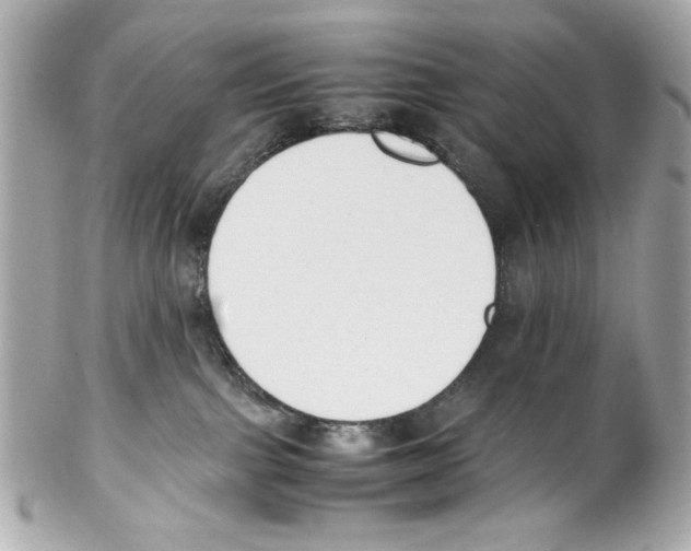 X0000102030091200808151353