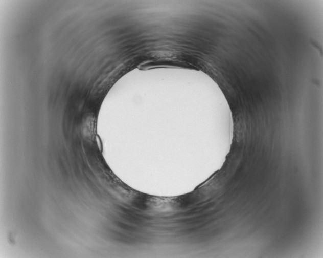 X0000102030093200808151353