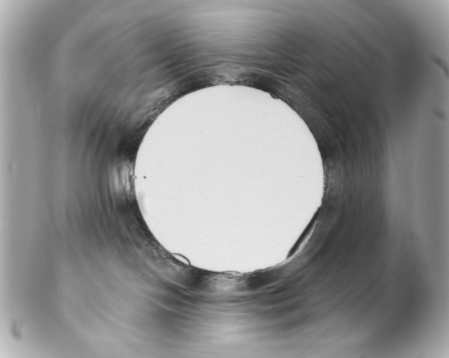 X0000102030094200808151353