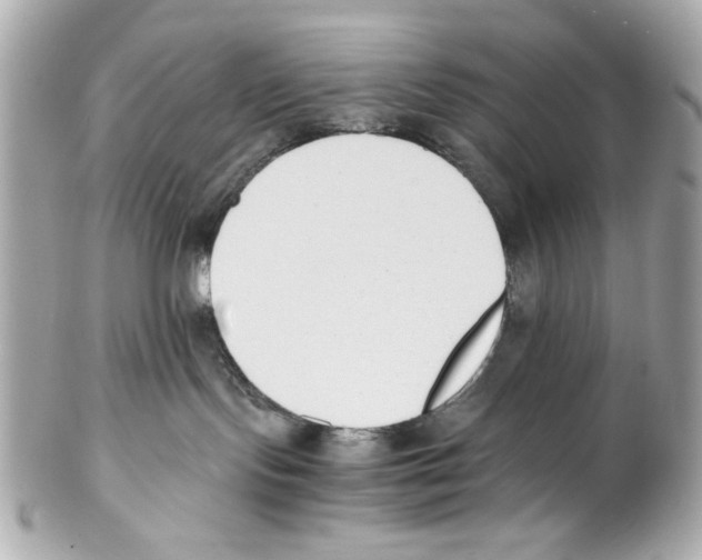 X0000102030095200808151353