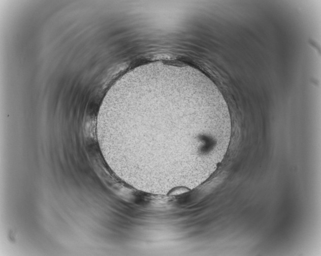 X0000102030096200808151353