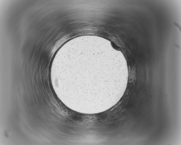 X0000102030099200808151352