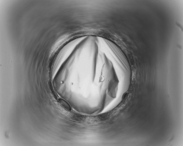 X0000102030101200808151352