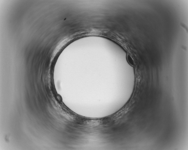 X0000102030102200808151352