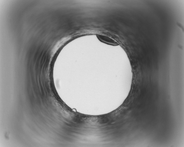 X0000102030104200808151352