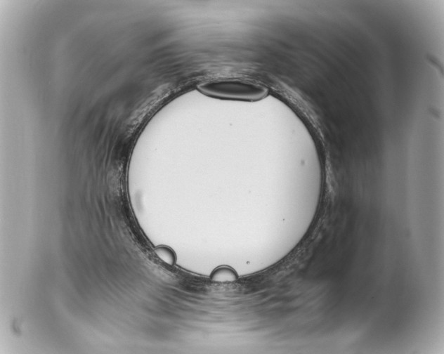 X0000102030105200808151352