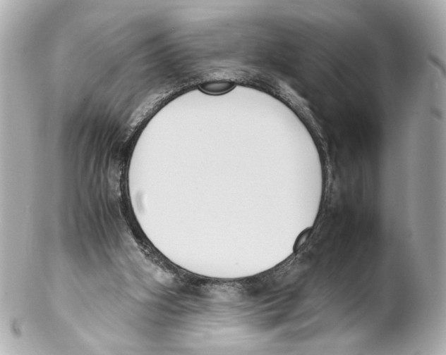 X0000102030106200808151352