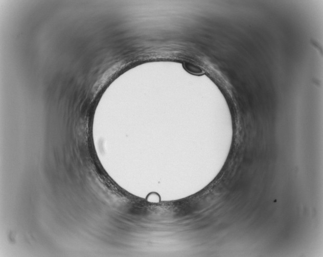 X0000102030107200808151352