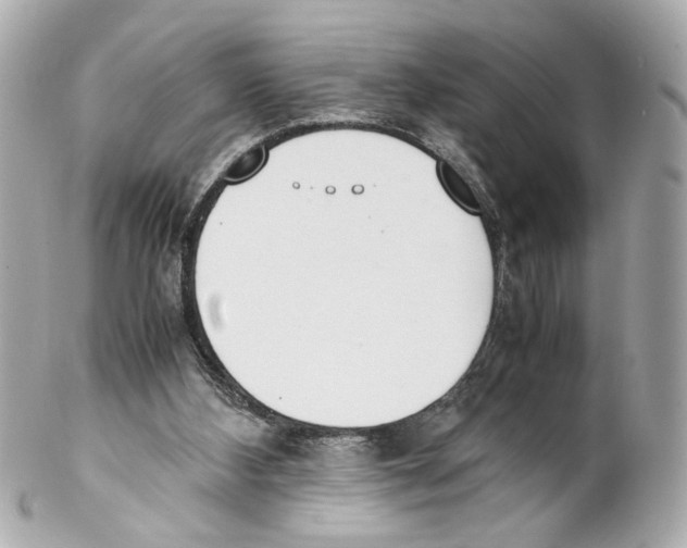 X0000102030108200808151352