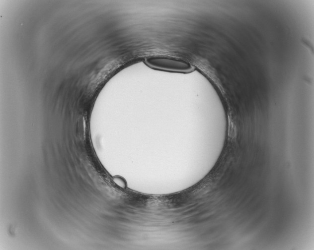 X0000102030109200808151352