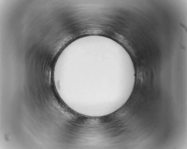 X0000102030110200808151352