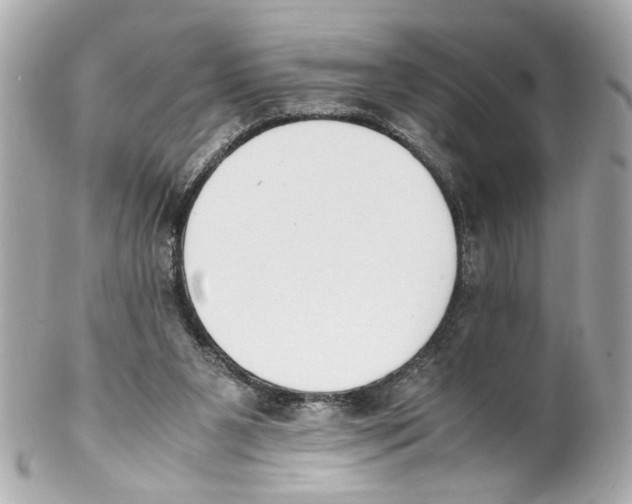 X0000102030111200808151352