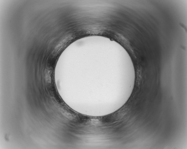 X0000102030114200808151352