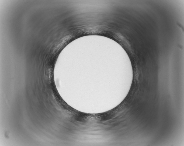 X0000102030115200808151352