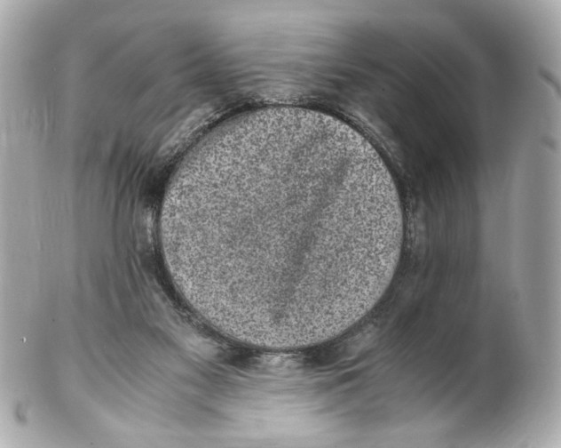 X0000102030117200808151352