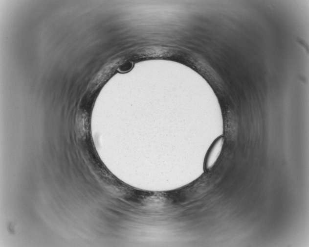 X0000102030119200808151352