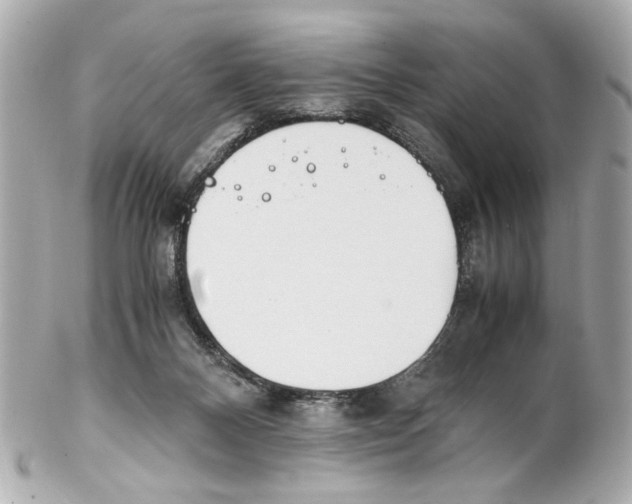 X0000102030120200808151352