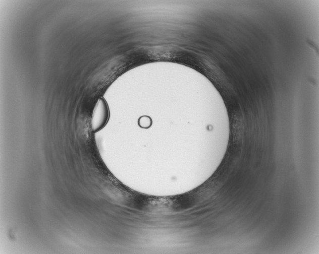 X0000102030125200808151352