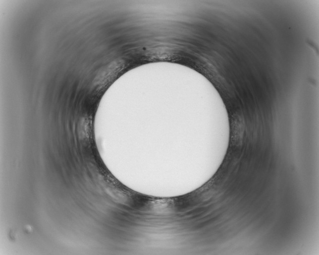 X0000102030126200808151352