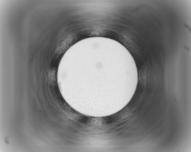 X0000102030127200808151352