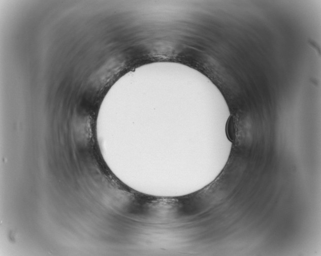 X0000102030128200808151352