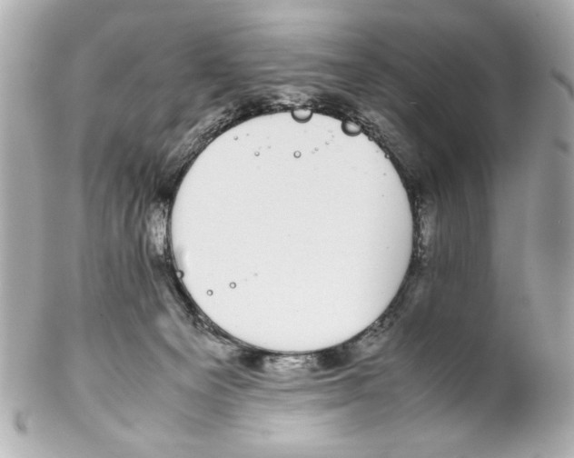 X0000102030129200808151352